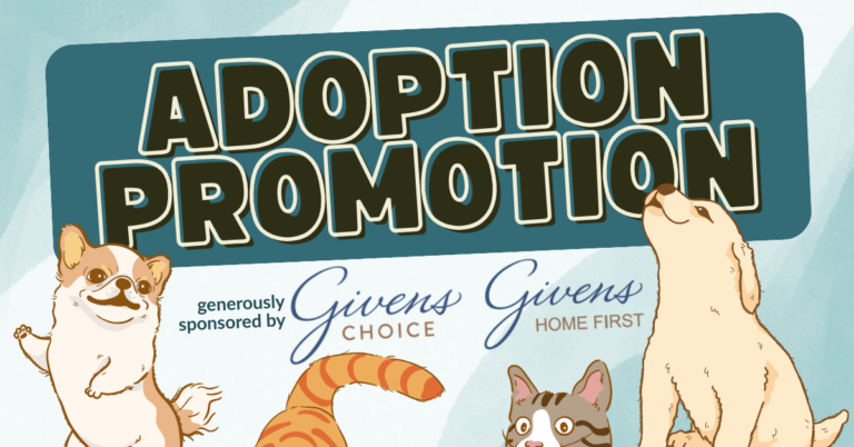 Adoption Promotion Givens