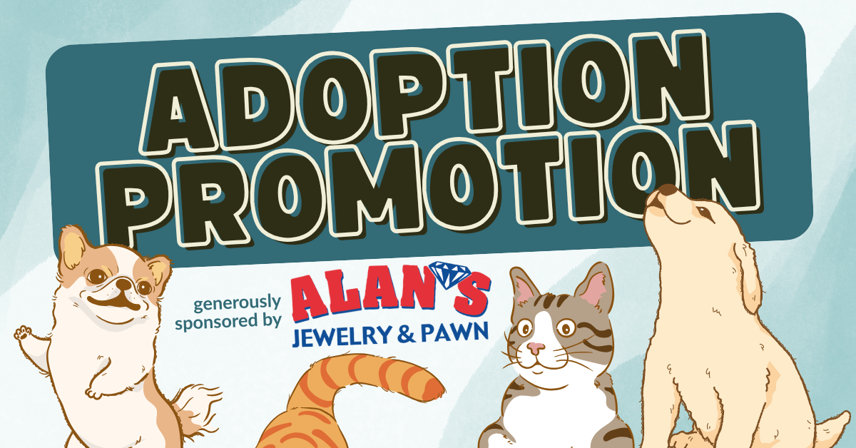 Adoption Promotion | Asheville Humane Society