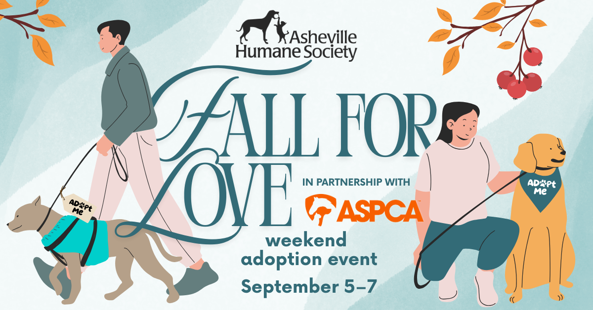 Fall for Love Weekend Adoption Event header