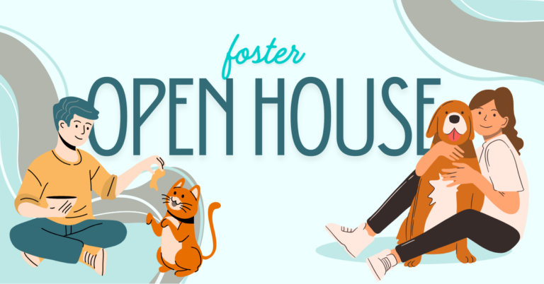 Foster Open House