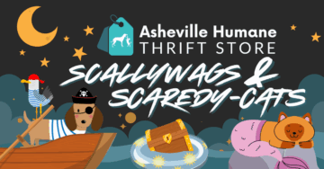 Scallywags & Scaredy-cats