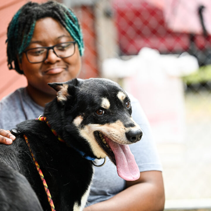 Working at Asheville Humane