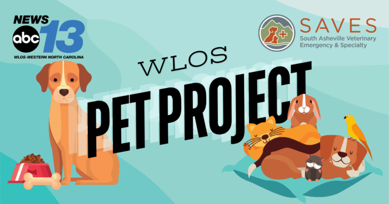 WLOS Pet Project