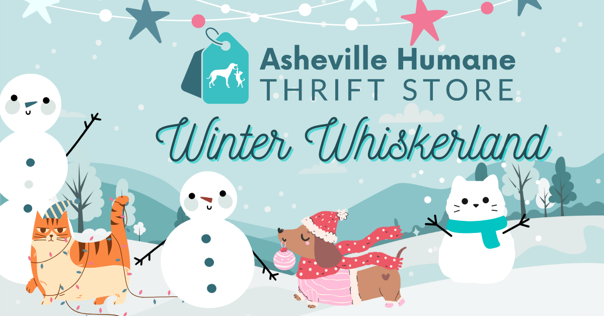 Winter Whiskerland