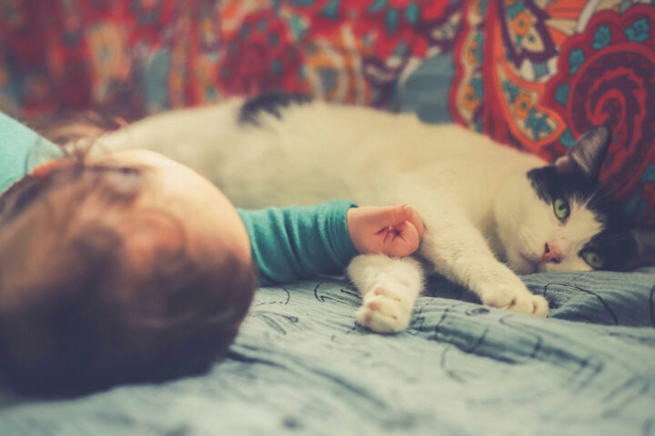 A baby and a cat lie next to each other peacefully