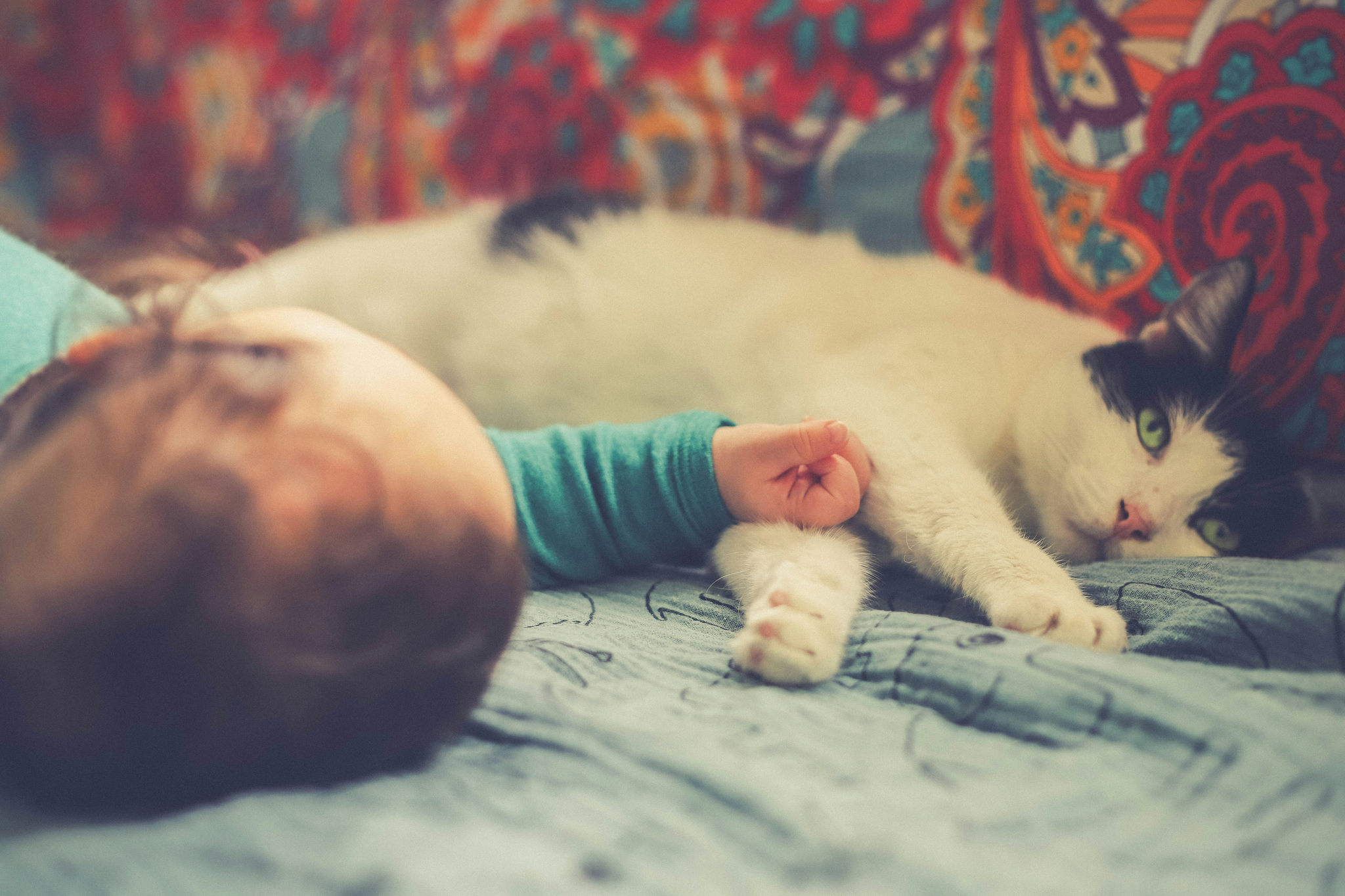 A baby and a cat lie next to each other peacefully