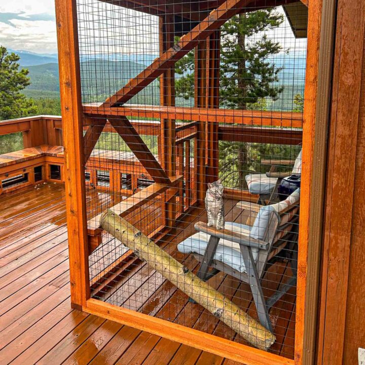 A catio on a deck overlooking a mountain view