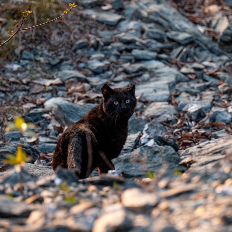adrien-vin-iGwzIYW9HLs-unsplash adrien-vin-iGwzIYW9HLs-unsplash