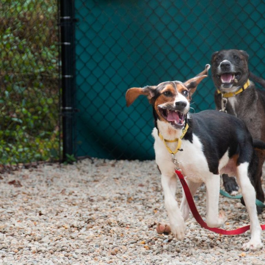 playgroup Photo by