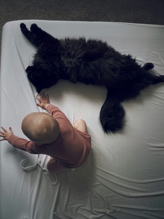 A cat and a baby lie next to each other on a bed