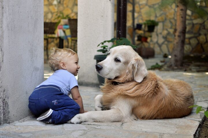 A dog and baby sit peacefully side by side