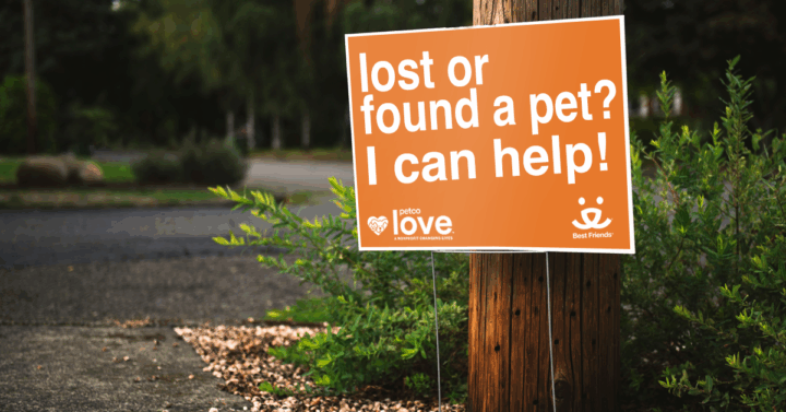 Paws in the Field yard sign