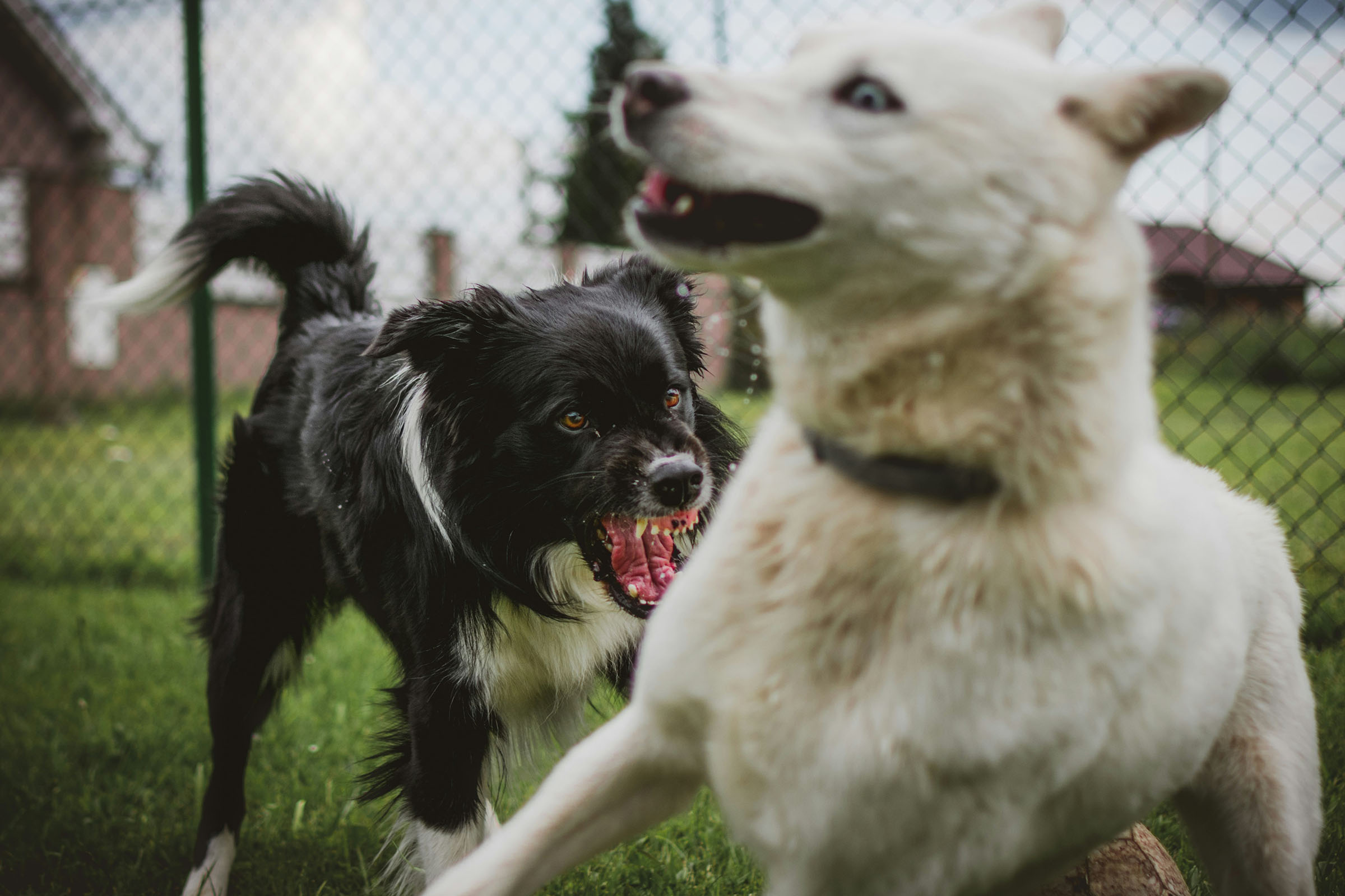 Photo by Tadeusz Lakota on Unsplash